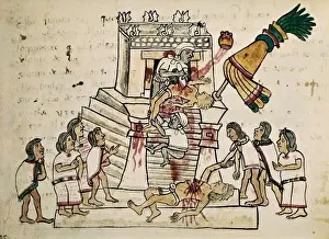 Aztec Human Sacrifice Imprime: Codex Magliabecchi