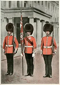 British Army Regiment Imprime: Coldstream guards