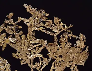 Natural History Museum Specimens Imprime: Copper