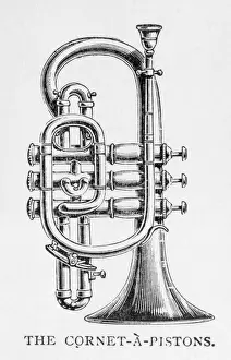Musical Instruments History Imprime: Cornet on its Own