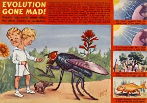 Evolutionary Science History Imprime: Cosmic Mutation