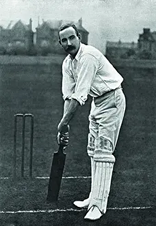 Cricket History Imprime: Cricketer, Daft