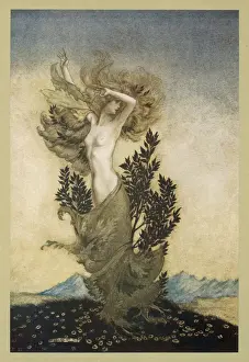 Classical Mythology Images Imprime: Daphne Becomes a Tree