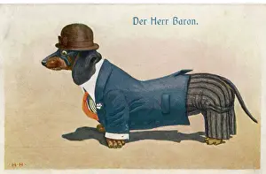 Imágenes Relacionadas Imprime: Perro dandi de caza corto