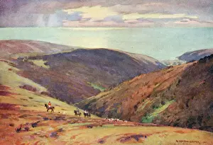 Impresiones de Caza venados rojos en el valle de Porlock, Exmoor, Somerset. Fecha: 1922 Somerset Imprime: Caza de venado en Exmoor