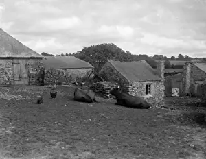 Farming In Britain Imprime: Devon Farmyard