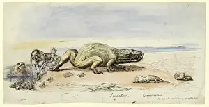 Benjamin Waterhouse Hawkins Imprime: Dicinodonte, Labyrinthodonte, Rincosaurio.
