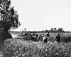 WW1 Trenches Imprime: Digging trenches