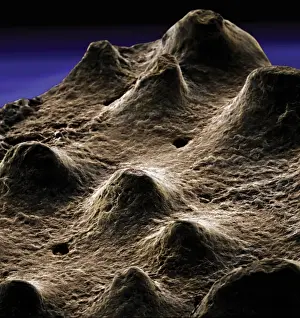 Scanning Electron Microscope Image Imprime: Dinosaur eggshell