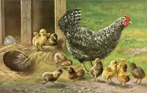 Easter Postcard Imprime: Proverbs / Counting Chicks