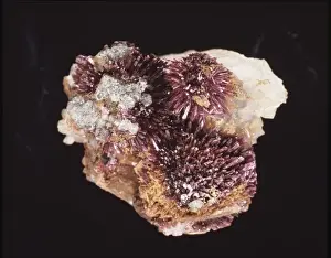 Natural History Museum Specimens Imprime: Erythrite