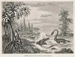 Extinct Sea Creatures Imprime: Extinct Plesiosaur
