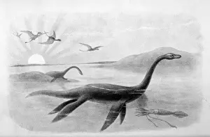 Dinosaur Fossil Discovery Imprime: Extinct / Plesiosaurus
