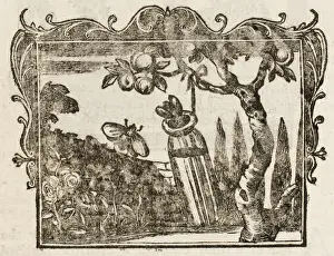 Historical Garden Scene Imprime: Fable / the Two Bees