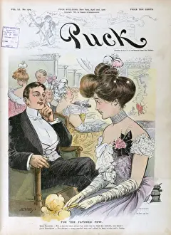 Puck Magazine Cartoons Online Imprime: For the favored few