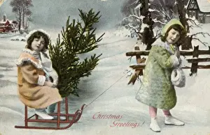 Winter Scene Imprime: Fetching Tree on Sledge