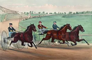 Vintage Horse Racing Art Imprime: Well together at the first turn