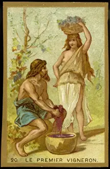 Vintage Agriculture Images Imprime: First Vineyard