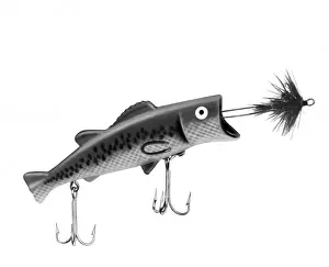 Gancho de Pesca