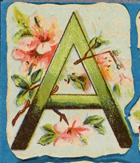 Antique Flower Illustrations Imprime: FLOWER A