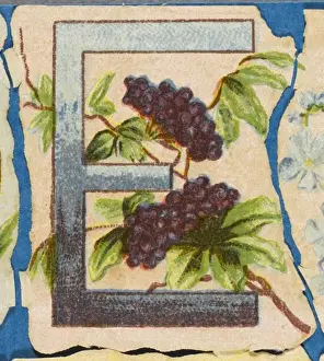 Antique Flower Art Imprime: FLOWER E