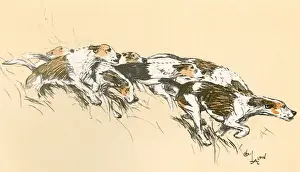 Vintage Fox Hunting Prints Imprime: Foxhounds with their hackles up