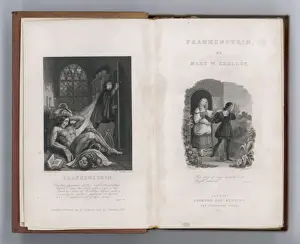 Vintage Literary Artwork Imprime: Frankenstein