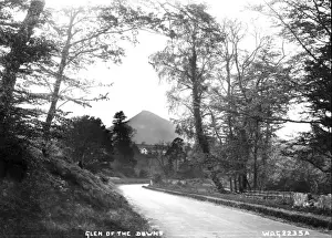 Early 20th Century Irish Art Imprime: Glen of the Downs
