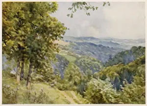 Gloucestershire Imprime: Forest de Glos, 1927