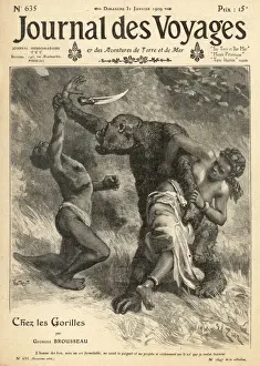 Congo Wildlife Imprime: Gorilla on the Attack