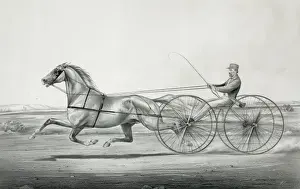 Vintage Horse Illustration Imprime: Gray Eagle
