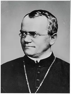 Impresiones de Gregor Johann Mendel, científico austríaco de la botánica Austria Imprime: Hugo Gregorio de Johann Mendel
