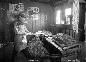 Early 20th Century Ireland Imprime: Hackling Flax