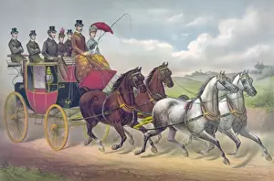 Horse Drawn Carriages History Imprime: Four in hand