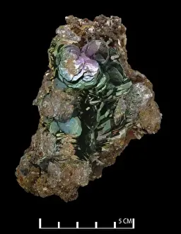 Natural History Museum Specimens Imprime: Hematite