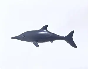 Prehistoric Marine Reptile Imprime: Ichthyosaur
