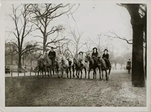 Traditional Equestrian Attire Imprime: (insert)