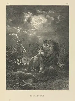 Wild Animal Art Imprime: The King of Beasts