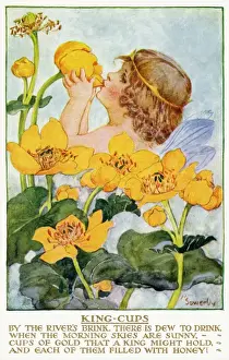 Postcard Collection For Kids Imprime: King cups
