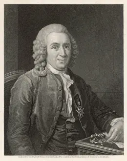 18th Century Prints Imprime: Linnaeus / Pasch