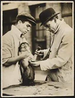 Animal Health Checkup Imprime: Lung Test / Monkey