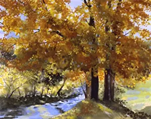 Malcolm Greensmith Painting Imprime: Maple Fall