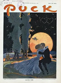 Puck Magazine Artwork Imprime: Mating time