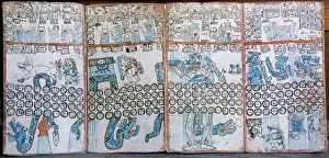 Códices mayas. El Códice de Madrid (Codex Tro-Cortesianus). Pos.