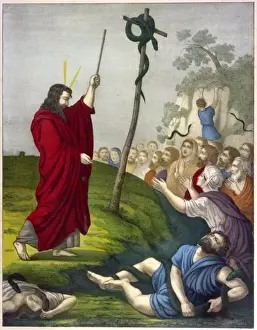 Biblical Art Prints Imprime: Moses & Brazen Serpent