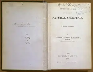 Natural Selection Theory Imprime: Natural Selection