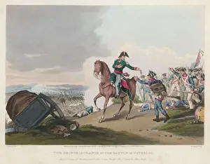 Napoleonic War History Imprime: Orange at Waterloo