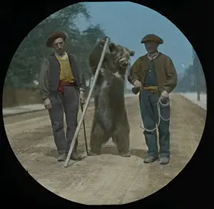 Lantern Slide Circa 1900 Imprime: Performing Bear with Pole