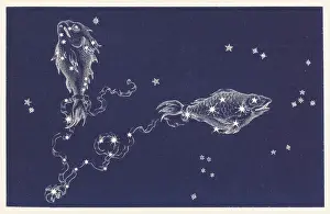 Cartas Astrales Imprime: Pisces