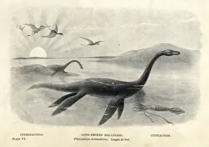 Prehistoric Sea Creatures Imprime: Plesiosaurus dolichodeirus with cuttlefish and pterodactyls
